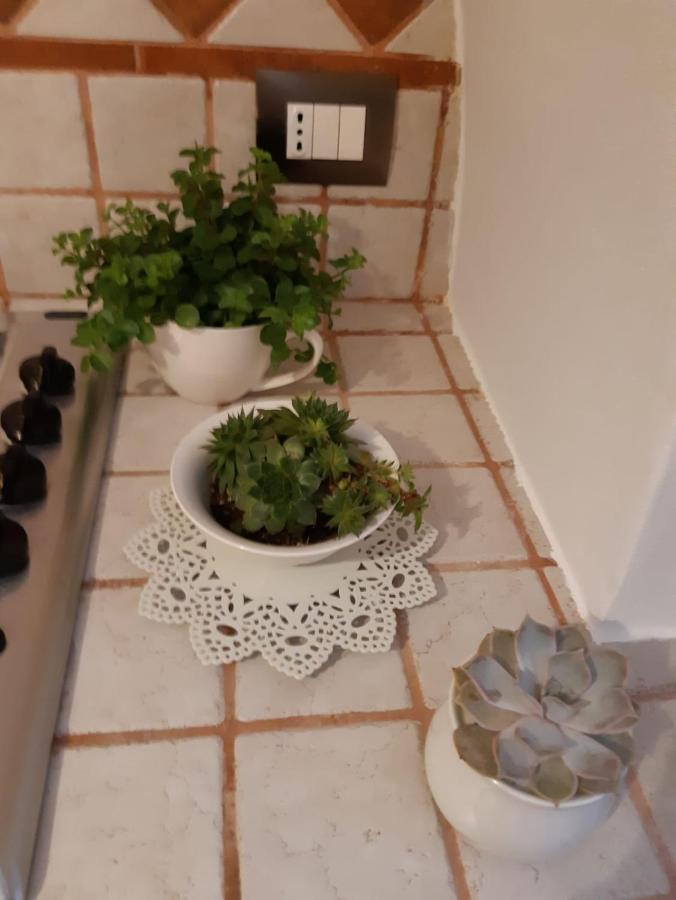 Donna Lucrezia Dimora A Corte B&B Conversano Kültér fotó